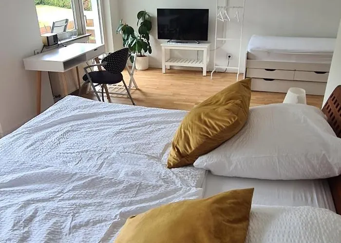 公寓 Wolke7 Und Himmelsleiter2 埃尔巴赫