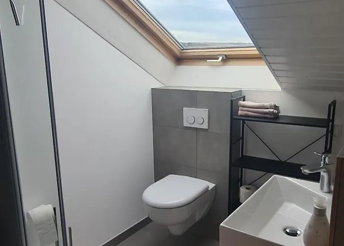 公寓 Wolke7 Und Himmelsleiter2 埃尔巴赫